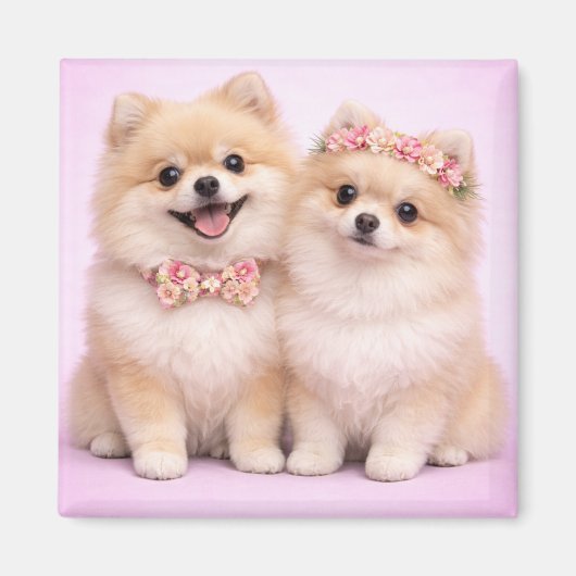 Cute Pomeranian Couple Valentine Illustration Magneet (Voorkant)