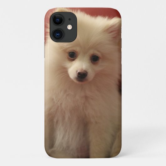 Cute Pomeranian Dog Case-Mate iPhone Case (Achterkant)