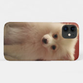 Cute Pomeranian Dog Case-Mate iPhone Case (Achterkant (horizontaal))