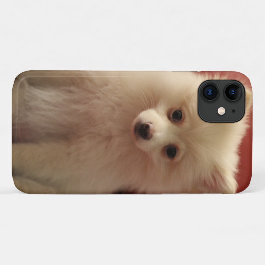Cute Pomeranian Dog Case-Mate iPhone Case (Achterkant (horizontaal))