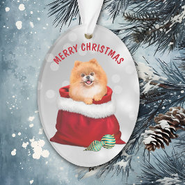 Cute Pomeranian Dog Gift Surprise Ornament