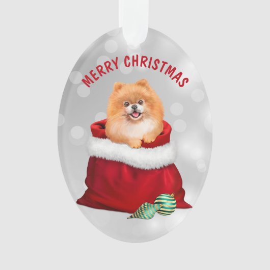 Cute Pomeranian Dog Gift Surprise Ornament (voorkant)