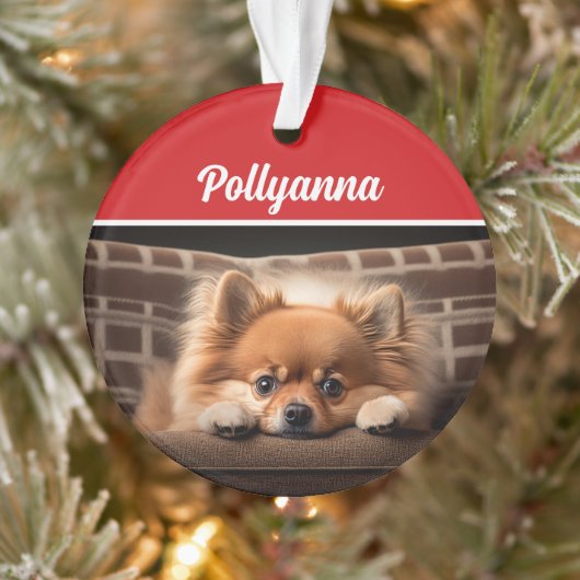 Cute Pomeranian Dog Holiday Christmas Photo Ornament (Boom)