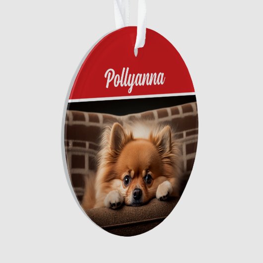 Cute Pomeranian Dog Holiday Christmas Photo Ornament (voorkant)