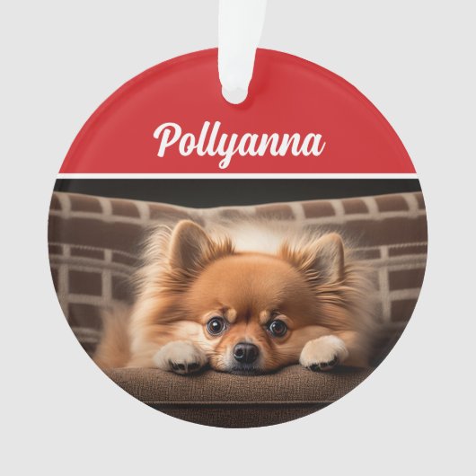 Cute Pomeranian Dog Holiday Christmas Photo Ornament (voorkant)