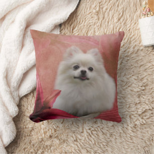 Cute Pomeranian Dog Kussen