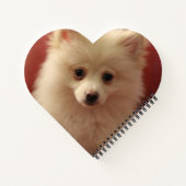 Cute Pomeranian Dog Notitieboek (Achterkant)