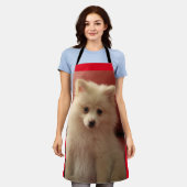 Cute Pomeranian Dog Schort (Gedragen)