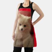 Cute Pomeranian Dog Schort (Insitu)