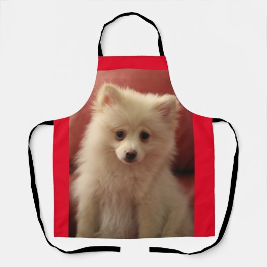 Cute Pomeranian Dog Schort (Voorkant)