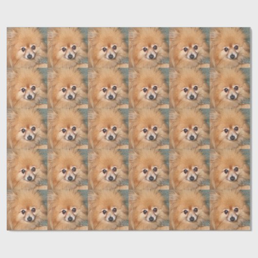 Cute Pomeranian Face Cadeaupapier (Vlak)