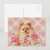 Cute Pomeranian German Spitz met Flowers Briefkaart (Voorkant / Achterkant)