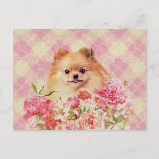 Cute Pomeranian German Spitz met Flowers Briefkaart (Voorkant)