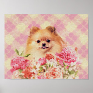 Cute Pomeranian German Spitz met Flowers Poster