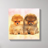 Cute Pomeranian German Spitz Puppies Canvas Afdruk (Voorkant)
