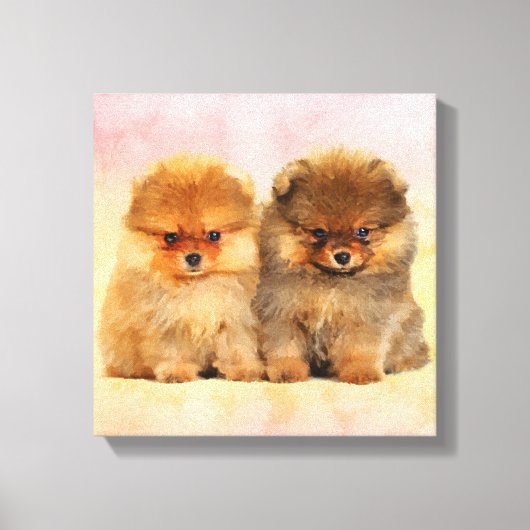 Cute Pomeranian German Spitz Puppies Canvas Afdruk (Voorkant)
