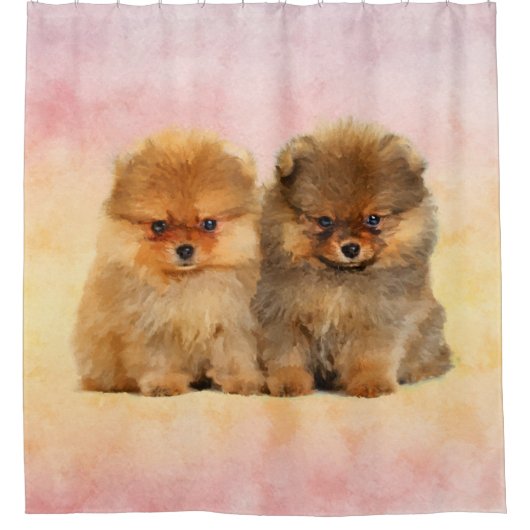 Cute Pomeranian German Spitz Puppies Douchegordijn (Voorkant)