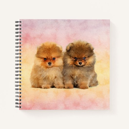 Cute Pomeranian German Spitz Puppies Notitieboek (Voorkant)