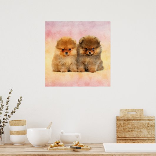 Cute Pomeranian German Spitz Puppies Poster (Keuken)