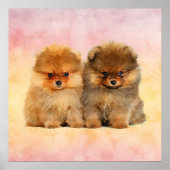Cute Pomeranian German Spitz Puppies Poster (Voorkant)