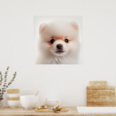 Cute Pomeranian Puppy Dog Portrait Poster (Keuken)
