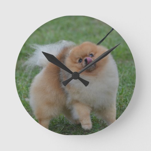 Cute Pomeranian Ronde Klok (Voorkant)