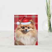 Cute Pomeranian Santa Dog Red White Plaid Feestdagen Kaart (Voorkant)