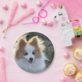 Cute Pomeranian Spitz Dog Portrait Photogram Papieren Bordje (Feest)