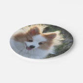 Cute Pomeranian Spitz Dog Portrait Photogram Papieren Bordje (Gekanteld)