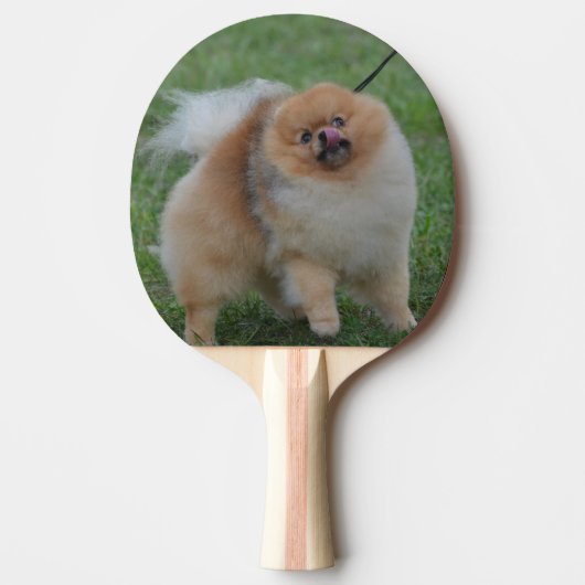 Cute Pomeranian Tafeltennisbatje (Voorkant)