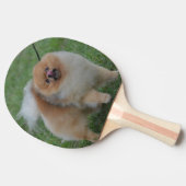 Cute Pomeranian Tafeltennisbatje (Zijkant)