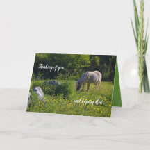 Cute pony, paard, natuur groen, denken aan jou