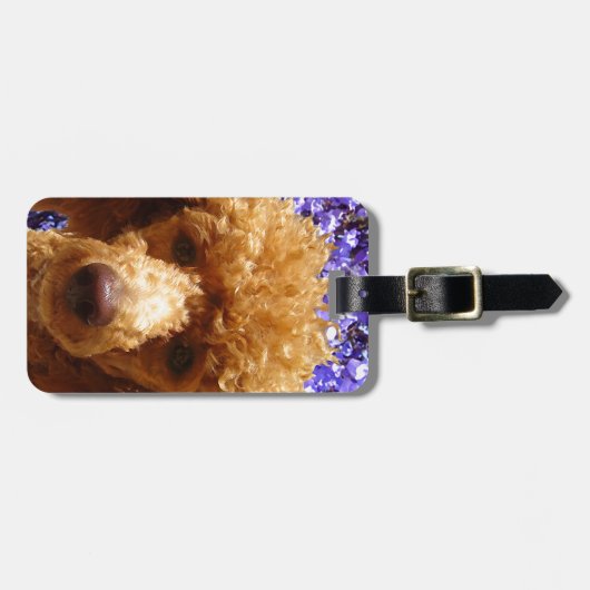 Cute Poodle Bagagelabel (Voorkant horizontaal)