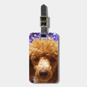 Cute Poodle Bagagelabel