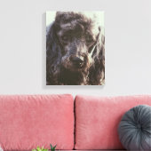 Cute Poodle Dog Face Eyes Canvas Afdruk (Insitu (Woonkamer))