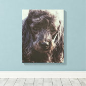 Cute Poodle Dog Face Eyes Canvas Afdruk (Insitu (Houten vloer))