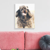 Cute Poodle Dog Face Smile glimlachen Canvas Afdruk (Insitu (Woonkamer))