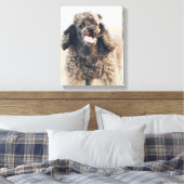 Cute Poodle Dog Face Smile glimlachen Canvas Afdruk (Insitu (Slaapkamer))