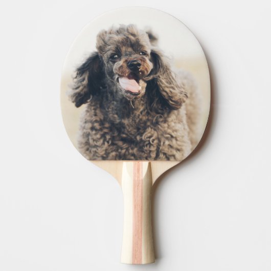 Cute Poodle Dog Face Smile glimlachen Tafeltennisbatje (Voorkant)
