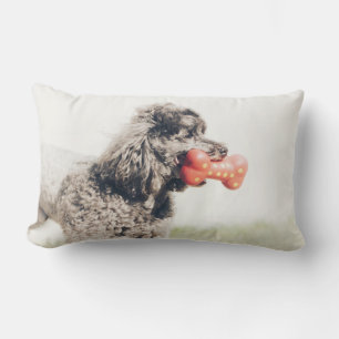 Cute Poodle Dog Face Speelgoed Bone Kussen