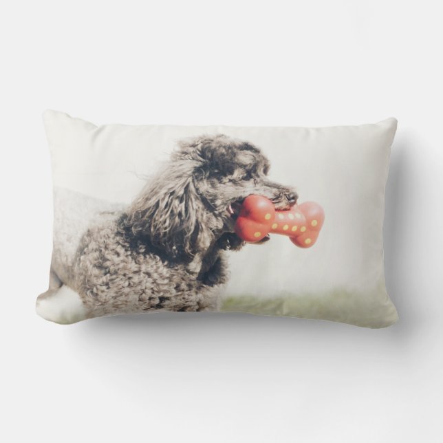 Cute Poodle Dog Face Speelgoed Bone Kussen (Voorkant)