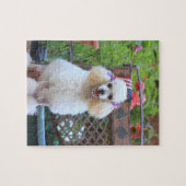 Cute Poodle Dog Jigpuzzle Legpuzzel (Horizontaal)
