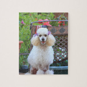 Cute Poodle Dog Jigpuzzle Legpuzzel