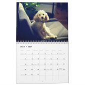Cute Poodle Dog Kalender (Mar 2027)