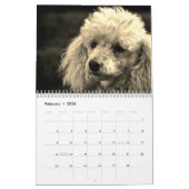 Cute Poodle Dog Kalender (Feb 2026)