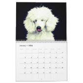 Cute Poodle Dog Kalender (Jan 2026)