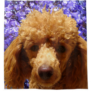 Cute Poodle Douchegordijn