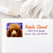 Cute Poodle Etiket (Insitu)