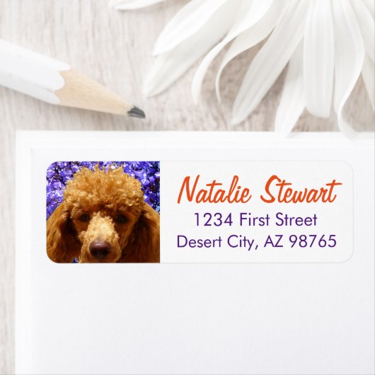 Cute Poodle Etiket (Insitu)