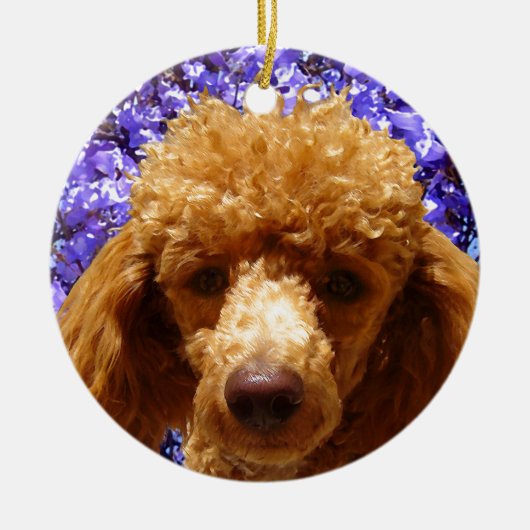 Cute Poodle Keramisch Ornament (Voorkant)